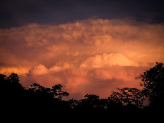 storm clouds over the rain forest at dawn