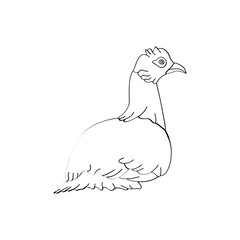 Bird outline vector for coloring book and tattoo design. Bird line art. Bird vector illustration. Bird outline. Bird line art. Hand drawn bird.