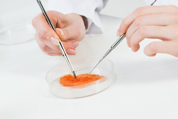 Microbiologist researching sample in petri dish.