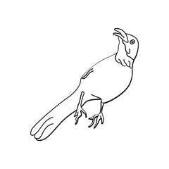 Bird outline vector for coloring book and tattoo design. Bird line art. Bird vector illustration. Bird outline. Bird line art. Hand drawn bird.
