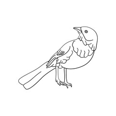 Bird outline vector for coloring book and tattoo design. Bird line art. Bird vector illustration. Bird outline. Bird line art. Hand drawn bird.