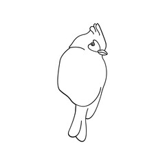 Bird outline vector for coloring book and tattoo design. Bird line art. Bird vector illustration. Bird outline. Bird line art. Hand drawn bird.