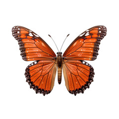 Naklejka premium Queen butterfly - Danaus gilippus. Transparent PNG. Generative AI
