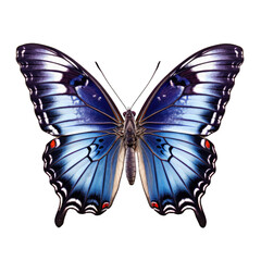 Fototapeta premium Red-spotted purple butterfly - Limenitis arthemis. Transparent PNG. Generative AI