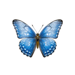 Short-tailed blue butterfly -  Cupido argiades. Transparent PNG. Generative AI