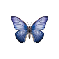 Small blue butterfly -  Cupido minimus. Transparent PNG. Generative AI