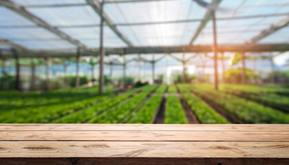 Wooden table top on blur plant vegetable or fruit organic farm background. For place food, drink or health care business. Fresh landscape and relax season concept. View of copy space.