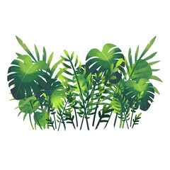 tropical tree isolated