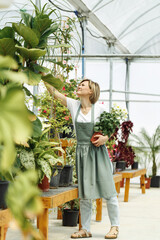 Portrait of smiling young botanist holding a fresh flower plant. Young woman holding small tree in pot in gardening center. Successful botanist and store owner thinking while standing with a pot plant