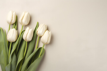 Tulip flowers bouquet on beige background. Top view flat lay.