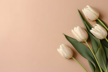 White tulip flowers bouquet on pink background. Top view flat lay.