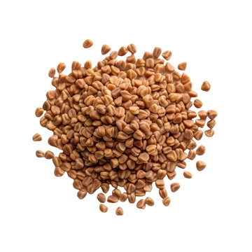 Buckwheat grains isolated on white background