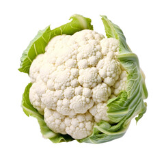 Cauliflower on white background
