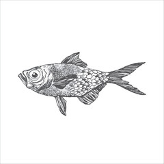 Hand drawn fish illustration, Minimal fish, Fish drawing, Artwork, Ocean, Sea, Water