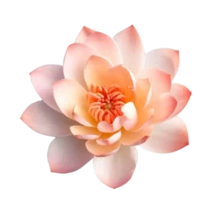 Türaufkleber Lotus flower isolated on white © Sanja
