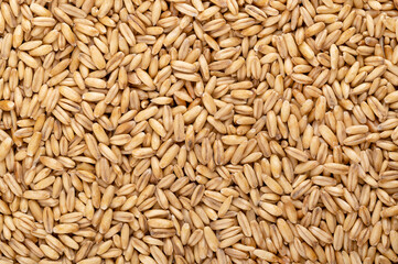 Hulled oats, dried and husked common oat grains, close-up, from above. Avena sativa, a cereal...