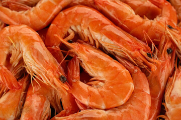 Shrimps close up. Fresh prawns top view