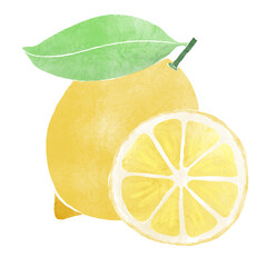 Watercolor Illustration of whole lemon and lemon slice isolated on white background - hand drawn tropical fruit


