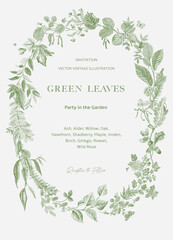 Green leaves. Wreath. Vector vintage illustration.