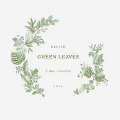 Green leaves. Round Wreath. Vector vintage illustration. - 616171493