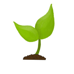 sprout growing from soil