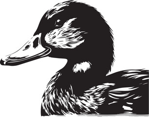 Duck, duck on the water, duck head, Vector Illustration, SVG	