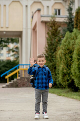 Fototapeta na wymiar Cheerful mischievous Caucasian schoolboy in blue shirt and school jacket posing showing approval gesture, class. Back to school.