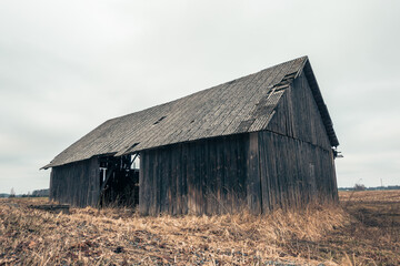 An old gloomy abandoned farm barn and yellow grass field with overcast sky.
