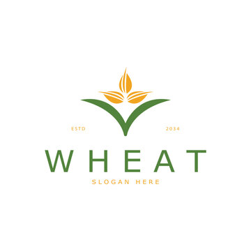 Agriculture Wheat logo template vector icon design