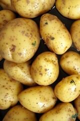 untreated potatoes directly from the fieldv