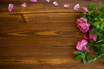 Floral background of pink and white roses on a dark wooden