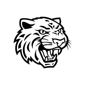 Vector tiger head. Isolated on white background