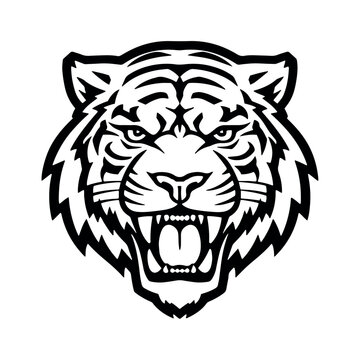 Angry tiger head isolated on white background, vector illustration.