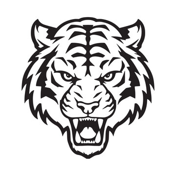 Angry tiger head isolated on white background, vector illustration. Tiger head mascot team logo