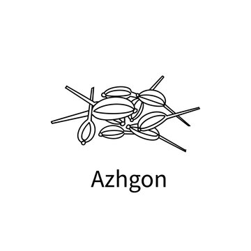 Azhgon seed, sketch vector illustration, isolated on white background. collection of plants for essential oils