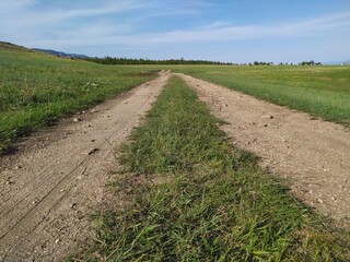 road in the field