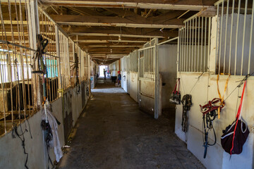 Horse stable. Horse stable for horses at the riding school. Horse shelter.