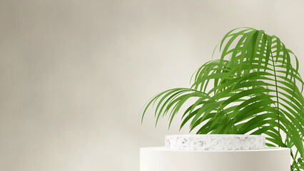 white marble cylinder podium in landscape aracea palm plant background, 3d rendering scene template