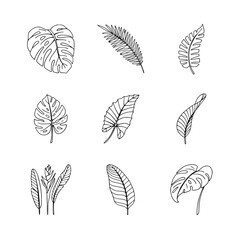 Set of tropical leaves hand draw icon for web app simple line design