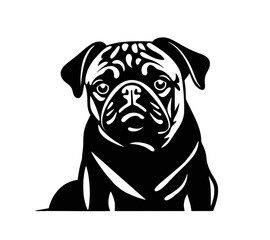 Vector style isolated one single sitting Pug dog head front  view black and white bw two colors silhouette. Template for laser engraving or stencil, print for t shirt