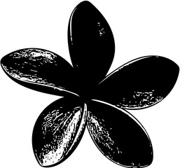 Silhouette of a flower vector