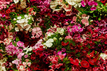 beautiful flower background	