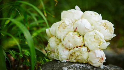 peony bouquet on forest background