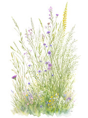Watercolor of grass with wildflowers on transparent background,generative ai