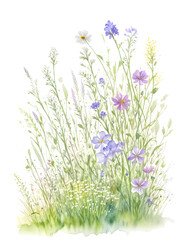Watercolor of grass with wildflowers on transparent background,generative ai