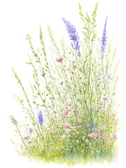 Watercolor of grass with wildflowers on transparent background,generative ai