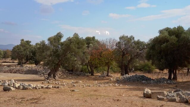 View of ancient Greek ruins in Turkey. Old monument sightseeing landmark stones in Theos open-air museum.