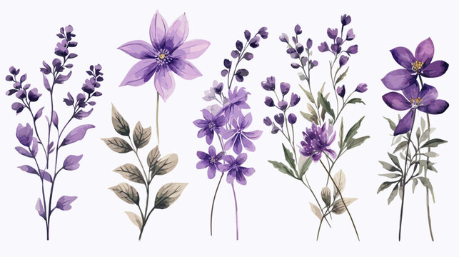 Purple Watercolor Blooms: Vector Illustration of Vibrant Floral Beauty - Powered by Adobe