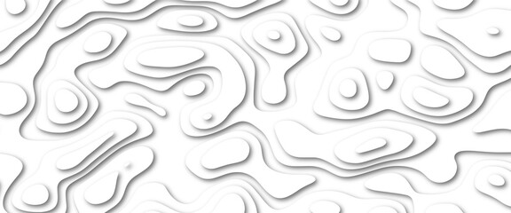 Abstract wavy line paper cut white background. Abstract realistic papercut decoration textured with wavy layers.  Abstract modern white background paper cut style