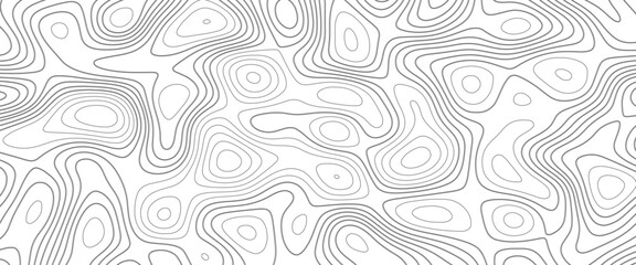 Topographic map background. Panorama view gradient multicolor wave curve lines banner background design. wave Line topography map contour background. Abstract Topographic map background with wave line